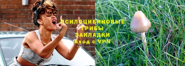 дурь Протвино