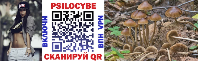 Купить закладки Барнаул Псилоцибиновые грибы мухоморы